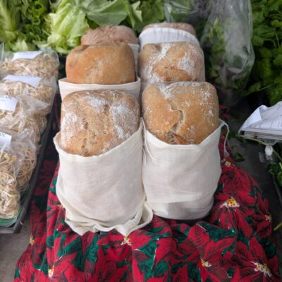 Organic Sourdough Bread (Wild Fermented)